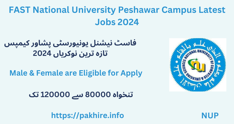 FAST National University Peshawar Campus Latest Jobs 2024