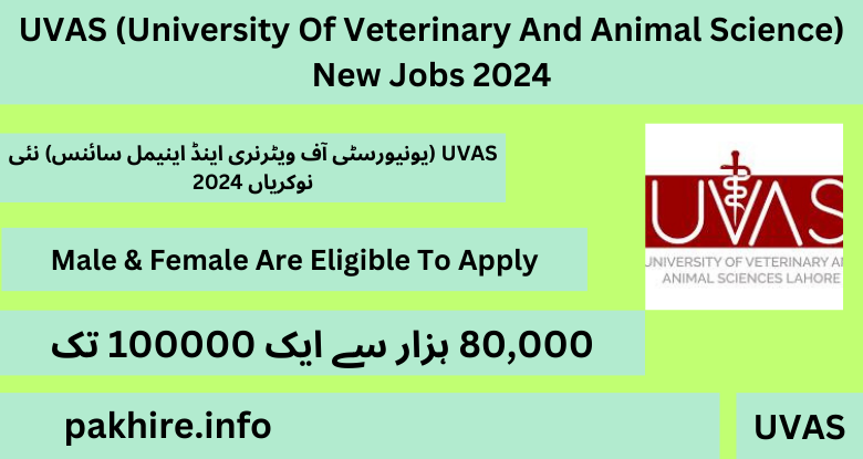 UVAS (University Of Veterinary And Animal Science) New Jobs 2024