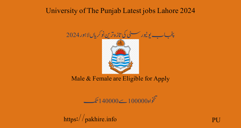 University of The Punjab Latest jobs Lahore 2024